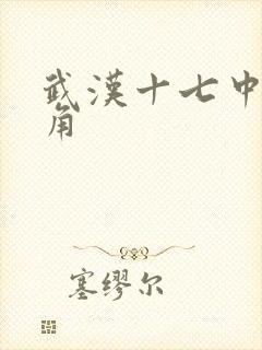 武汉十七中女主角