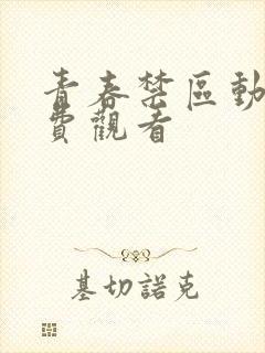 青春禁区动漫免费观看