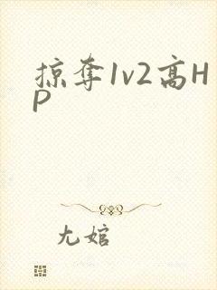 掠夺1v2高HP