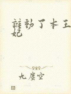 谁动了本王的悍妃