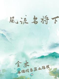 风流名将下载