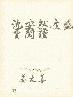 沈安然夜盛霆免费阅读