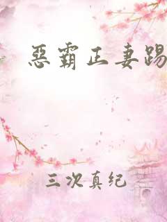 恶霸正妻踢娇妾