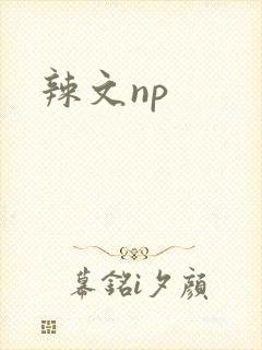 辣文np