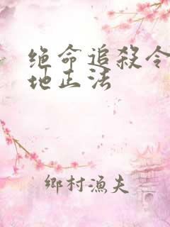 绝命追杀令2就地正法