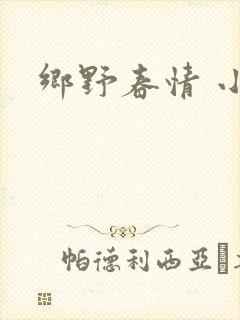 乡野春情 小说