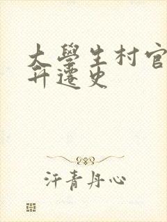 大学生村官艳遇升迁史