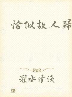 恰似故人归小说