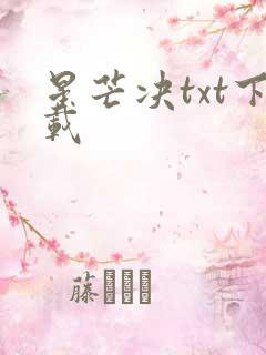星芒决txt下载