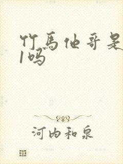 竹马他哥是1v1吗