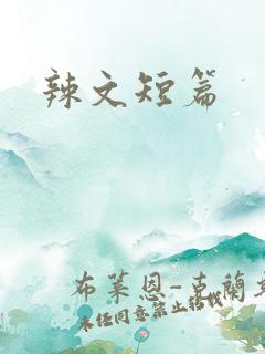 辣文短篇
