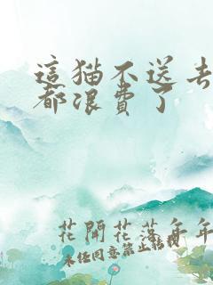 这猫不送去清北都浪费了