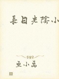 长日光阴小说