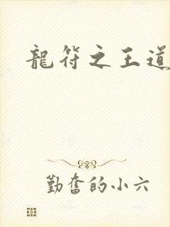 龙符之王道天下