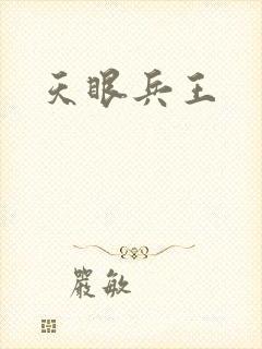 天眼兵王