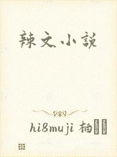 辣文小说
