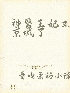 神医王妃又轰动京城了