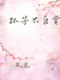 孤芳不自赏小说