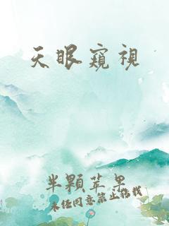 天眼窥视