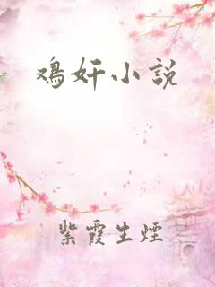 鸡奸小说