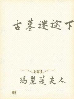 古墓迷途下载