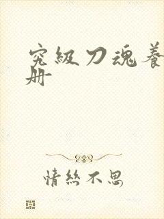 究级刀魂养成手册