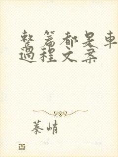 整篇都是车的肉过程文案