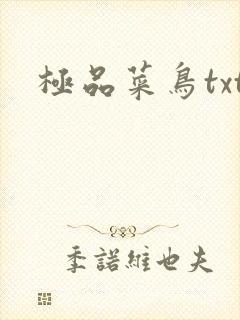 极品菜鸟txt