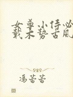 女尊小侍必须佩戴木势古风