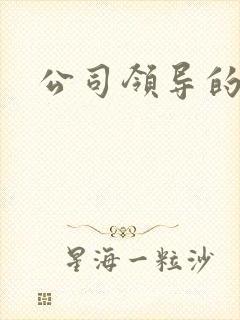 公司领导的老婆