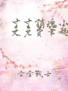 寸寸销魂小说全文免费笔趣阁