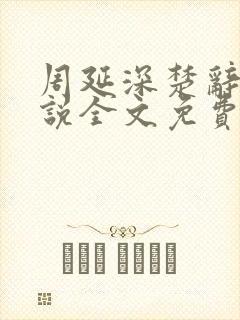 周延深楚辞的小说全文免费阅读