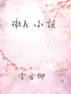 微h 小说