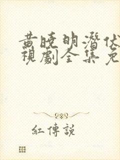 黄晓明潜伏者电视剧全集免费观看