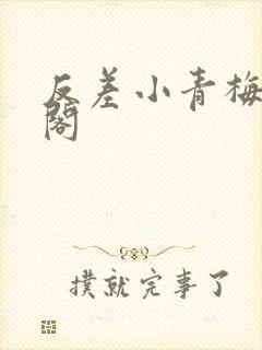 反差小青梅笔趣阁