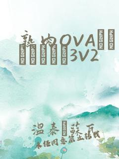 熟肉OVAちゃんはしたい3V2