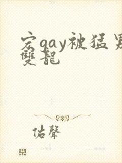 宏gay被猛男双龙