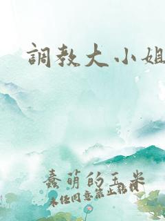 调教大小姐