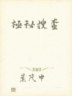 极秘搜查
