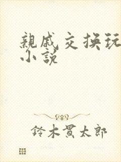 亲戚交换玩美妇小说