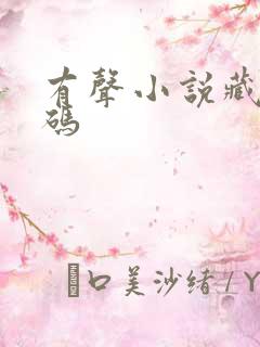 有声小说藏地密码