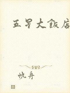五星大饭店小说