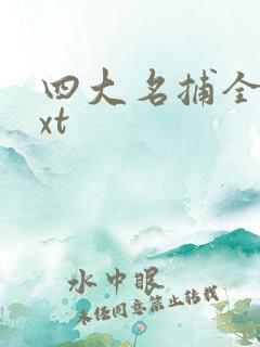 四大名捕全集txt