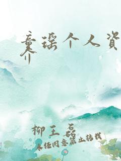 童瑶个人资料简介