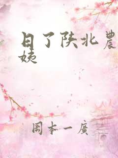 日了陕北农村婆姨