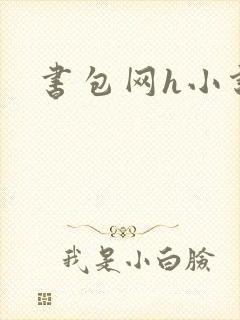 书包网h小说