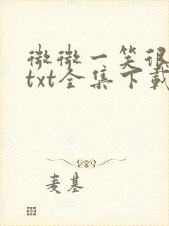 微微一笑很倾城txt全集下载