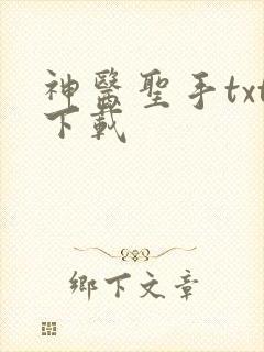 神医圣手txt下载