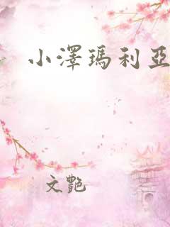 小泽玛利亚作品