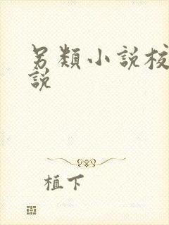 另类小说校园小说